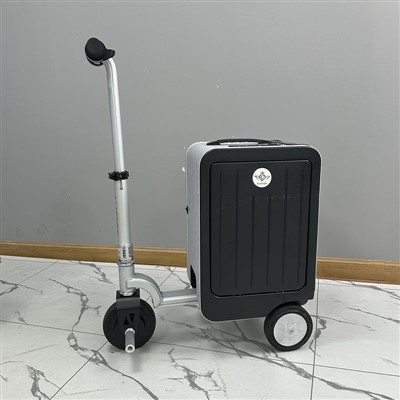 Električna ročna prtljaga